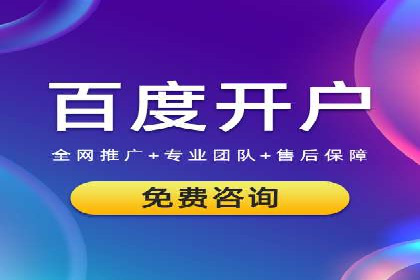 某某SEM团队成功提升网站流量与转化率的实战经验